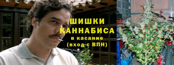 прущие крисы Беломорск