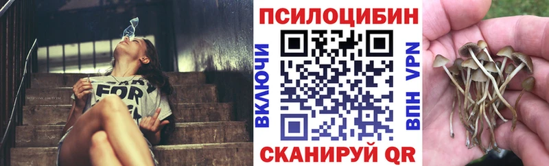 Псилоцибиновые грибы Magic Shrooms  kraken вход  Бугульма 