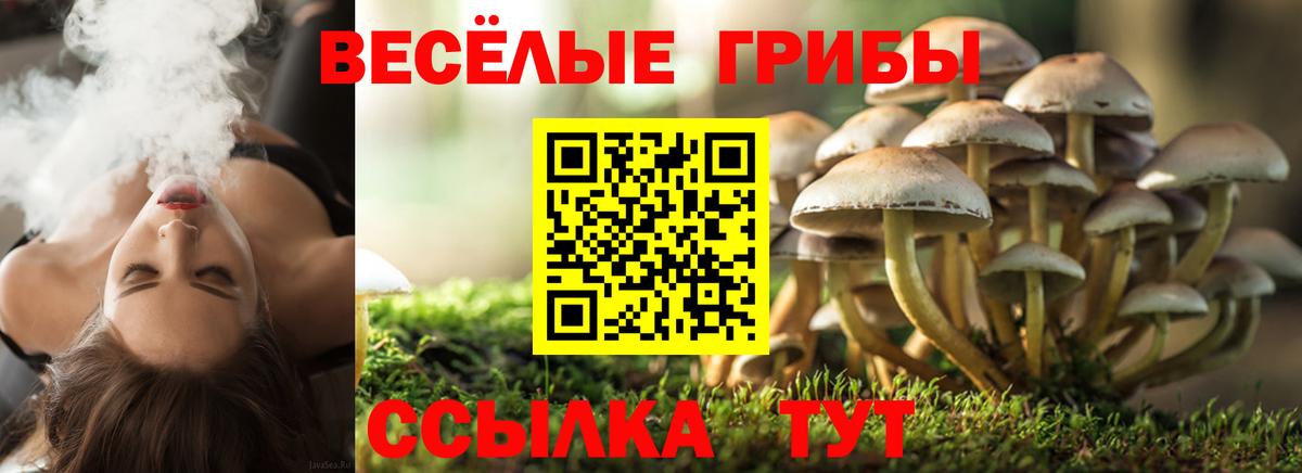 Псилоцибиновые грибы ЛСД  Вход с VPN  Бугульма  как найти   Псилоцибиновые грибы Cubensis 
